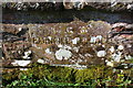 NX9921 : Bridge name/date stone for Barngill Bridge by Roger Templeman