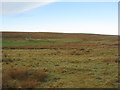 NT0049 : Rough pasture near Kersewell by M J Richardson