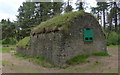 NO5026 : The Ice House in Tentsmuir Forest by Mat Fascione