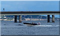 NO4029 : Boat next to the Tay Road Bridge by Mat Fascione