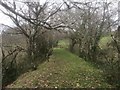 SS6438 : Lynton and Barnstaple Railway - Disused Trackbed at Bratton Bank by Barrie Cann