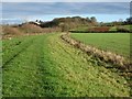 SO8542 : The Severn Way and Severn Bank by Philip Halling