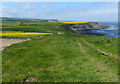 TA0293 : North along the Cleveland Way towards Crook Ness by Mat Fascione