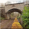 NH5963 : Railway bridge over the Foulis Burn by valenta