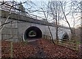 NH7674 : A9 Road Bridge over the Balnagown River by valenta