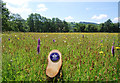 SN5657 : Winllan Coronation Meadow by Colin Cheesman