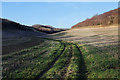 SE9336 : The Yorkshire Wolds Way in Swin Dale by Andy Stephenson