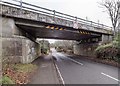 NH7674 : A9 Road Bridge Kildary by valenta