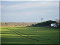 TL8197 : Breckland landscape by David Pashley