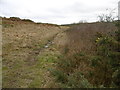 SY9580 : Corfe Common by Mike Faherty