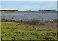 NU1434 : Budle Bay at the Lindisfarne National Nature Reserve by Mat Fascione