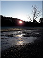 SZ0892 : Bournemouth: the sun through the trees on a frosty morning by Chris Downer