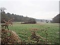 TL8293 : Looking over fence into Battle area by David Pashley