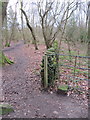 SJ2485 : Thurstaston Common wall and an NT boundary stone (1) by John S Turner