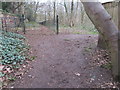 SJ2385 : National Trust boundary stone (3) on Thurstaston Common by John S Turner