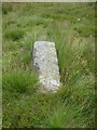  : Old Boundary Marker on Bilsdale West Moor, Bilsdale Midcable Parish by Milestone Society