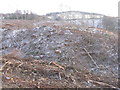 NO0049 : Cleared forestry in Strath Tay by M J Richardson