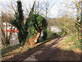 SJ4065 : Ancient tree stump by the River Dee by John S Turner