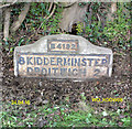  : Old Milestone by the A442, north of French Cottages, Hampton Lovett parish by J Higgins