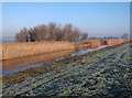 TL4885 : New Bedford River, Ouse Washes by Hugh Venables