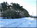 SE0843 : Ilkley Road, looking south from Upwood Hall Farm by Stephen Craven