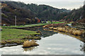 NZ6621 : Skelton Beck by Mick Garratt