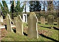 TG2008 : Gravestones in the Jewish Burial Ground by Evelyn Simak