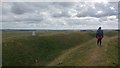 SU3086 : Ramparts and trig point on east side of  Uffington Castle Iron Age hillfort by Phil Champion