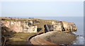 NZ4347 : Cliffs at Nose's Point by Trevor Littlewood