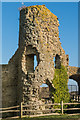 TQ6404 : Pevensey Castle by Ian Capper