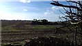 SE9184 : Muck spreading near Thorn Dikes by Christopher Hall