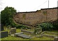 SK3435 : Fallen ivy, Derby Old Cemetery by Alan Murray-Rust