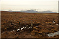 NC7819 : Timber Posts on Fox Hill, Sutherland by Andrew Tryon