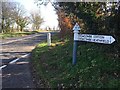 ST1435 : SCC fingerpost on A358 at Flaxpool Hill by Marika Reinholds