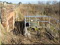 NT0548 : Aqueduct over Anston Burn by M J Richardson