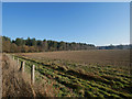 TL8297 : View across corner of field to forest by David Pashley