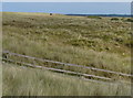 TG4624 : Sand dunes at Horsey Gap by Mat Fascione