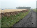 SD4716 : Private farm track heading south towards Caunce Wood by Christine Johnstone