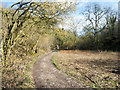 SK1966 : Footpath in Lathkill Dale approaching stone pillars by Trevor Littlewood