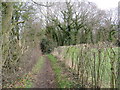 TQ4761 : Public bridleway near Pratts Bottom by Malc McDonald