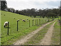 TQ4659 : Track through countryside near Knockholt by Malc McDonald