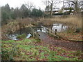 SP8600 : Sheepwash Pond, Prestwood (1) by David Hillas