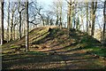 SJ3248 : The Motte at Erddig Motte and Bailey Castle by Jeff Buck