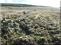 SD8996 : The remains of a drystone wall on Muker Side by Christine Johnstone