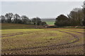  : Winter cereal crop near Boyton Hall Farm by Simon Mortimer