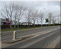 SM9516 : Tree-lined Fishguard Road, Haverfordwest by Jaggery