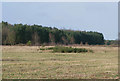 TL7893 : Looking from forest road towards forest by David Pashley