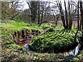 SO8398 : Nurton Brook meander east of Pattingham, Staffordshire by Roger  D Kidd