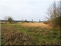 TL7893 : Breckland landscape by David Pashley