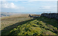  : Dry stone wall heading south-east at Middlesmoor Pasture by Trevor Littlewood